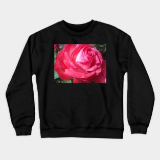 Bright Sun Hot Pink Rose Photo Print And Others Crewneck Sweatshirt